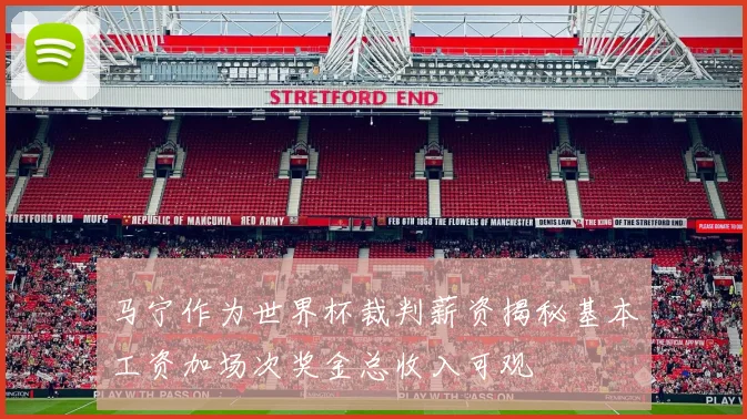 马宁作为世界杯裁判薪资揭秘基本工资加场次奖金总收入可观