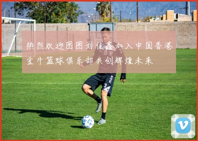 热烈欢迎图图刘佳鑫加入中国香港金牛篮球俱乐部共创辉煌未来