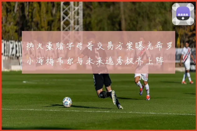 热火豪赌字母哥交易方案曝光希罗小海梅韦尔与未来选秀权齐上阵